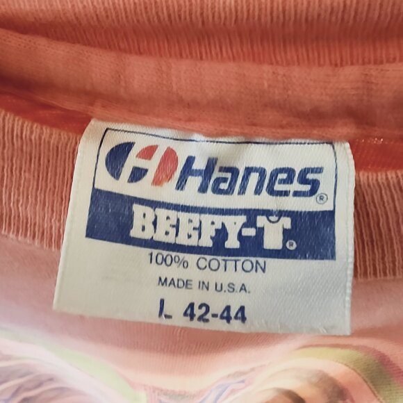 VTG Hanes North Face Buckminster Fuller Dare to be Naive L Single Stich 80's90's - Picture 3 of 15